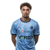 Player cutout