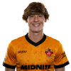 Player cutout