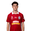 Player cutout