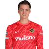 Player cutout