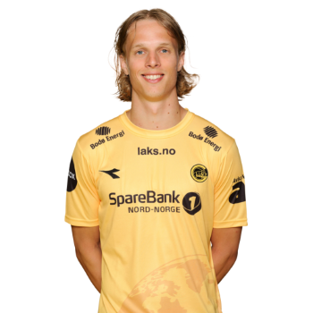 Ulrik Saltnes profile image