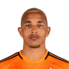 Player cutout