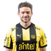 Player cutout