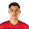 Player cutout