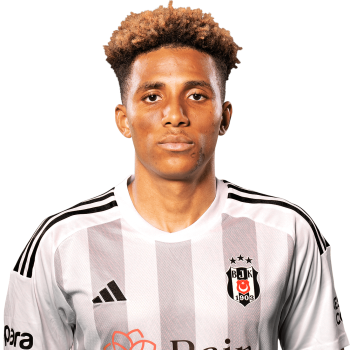 Gedson Fernandes profile image