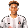 Player cutout