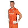 Player cutout