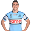 Player cutout