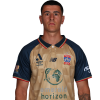 Player cutout