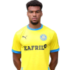 Player cutout
