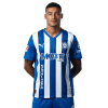 Player cutout