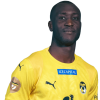 Player cutout