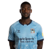 Player cutout