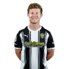 Player cutout