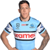 Player cutout