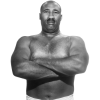 Player cutout