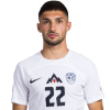 Player cutout