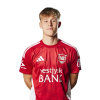 Player cutout