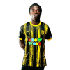 Player cutout