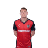 Player cutout