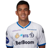 Player cutout