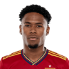 Player cutout