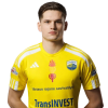 Player cutout