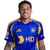 Player cutout