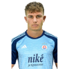Player cutout
