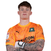 Player cutout