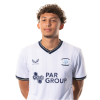 Player cutout