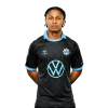 Player cutout