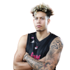 Player cutout