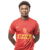 Player cutout