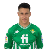 Player cutout
