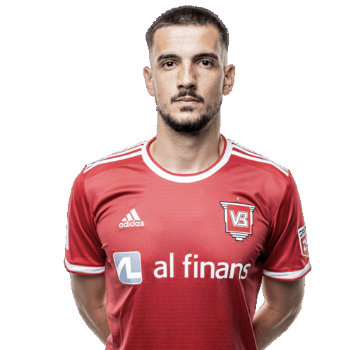 Vladimir Arsic profile image