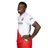 Player cutout
