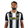 Player cutout