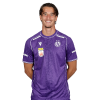 Player cutout