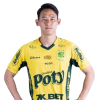 Player cutout