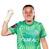 Player cutout