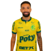 Player cutout