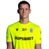 Player cutout