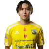 Player cutout