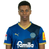 Player cutout