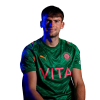 Player cutout