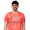 Player cutout