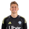 Player cutout