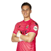 Player cutout