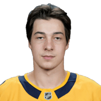 Aiden Fink